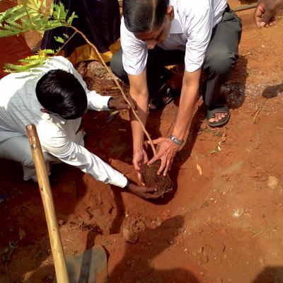 S.g.subramanian Dpf Trustee Planting A Tree In The Garden